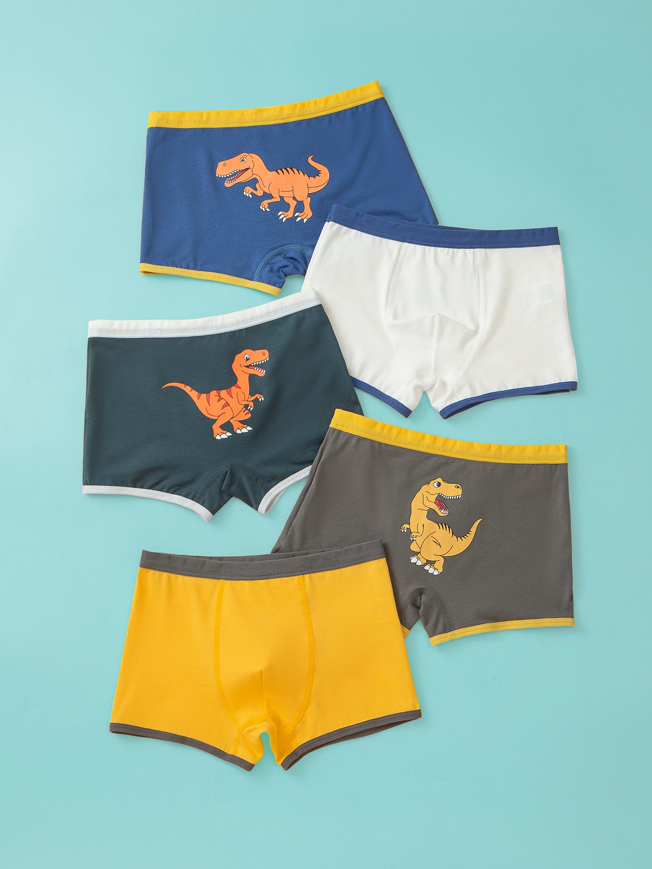 Young Boys Underwear