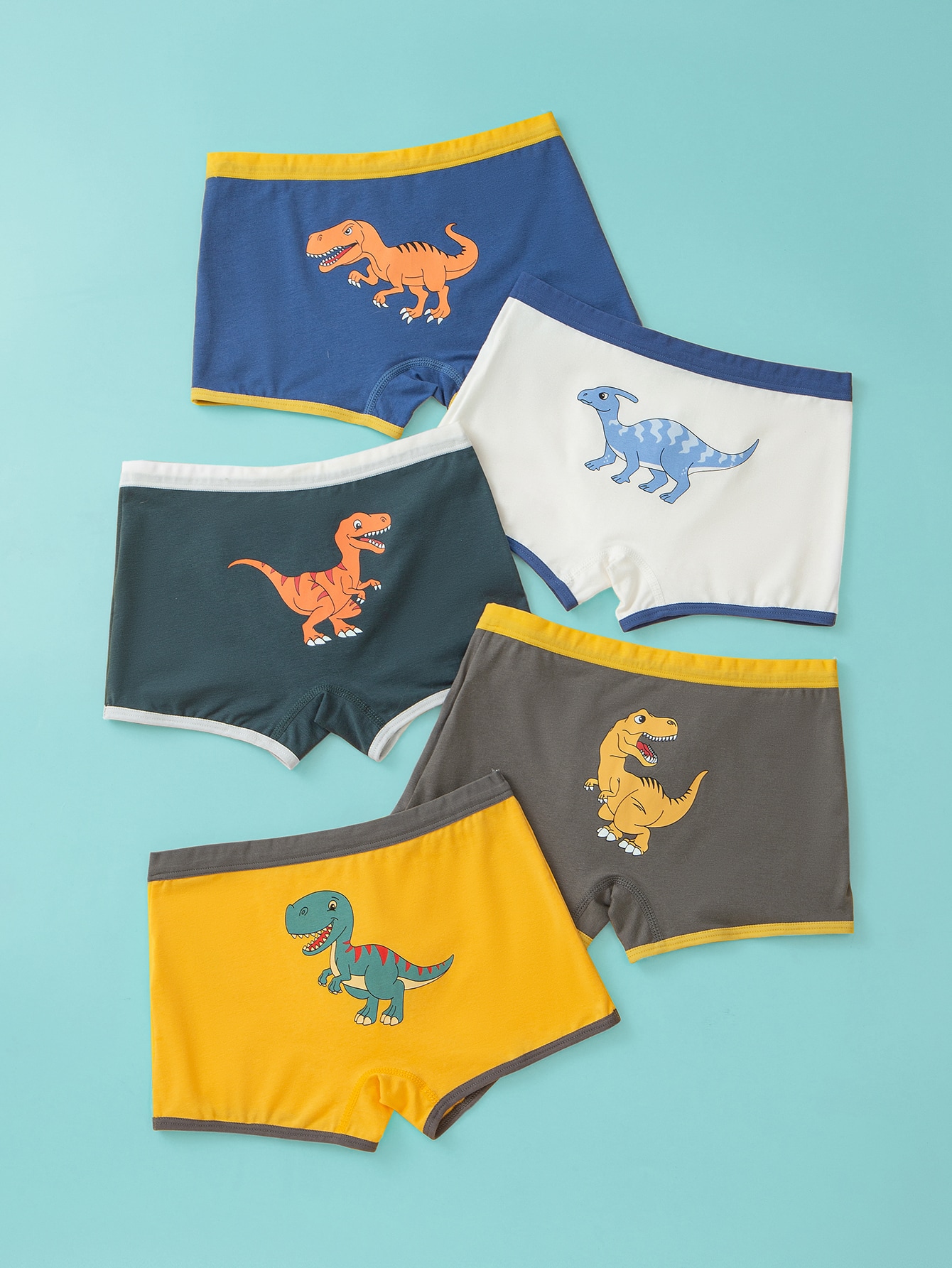 Young Boys Underwear