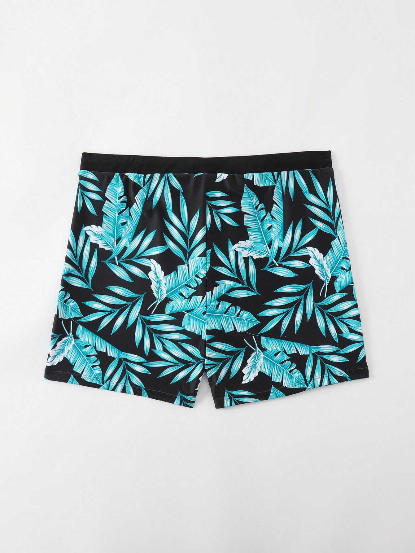 Men Plus Size Swim Shorts