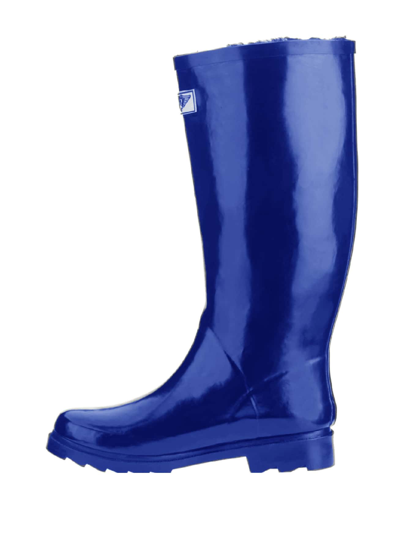 In Blue Women Fashion Boots